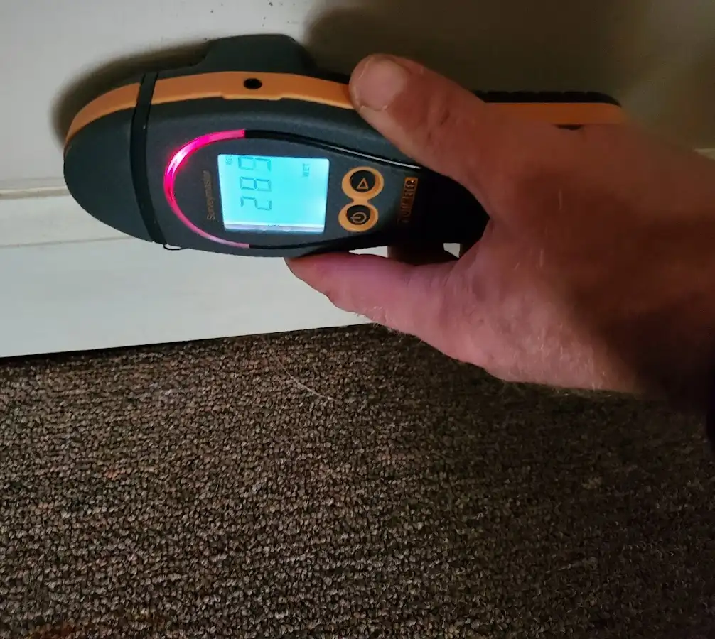 Moisture detection at baseboard during Mold Inspection & Testing in Maplewood